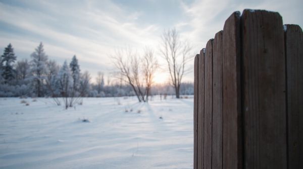 Checklist incontournable pour éloigner les nuisibles cet hiver